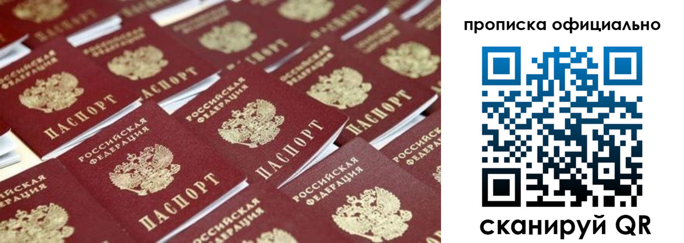 прописка гарантия в Фокино